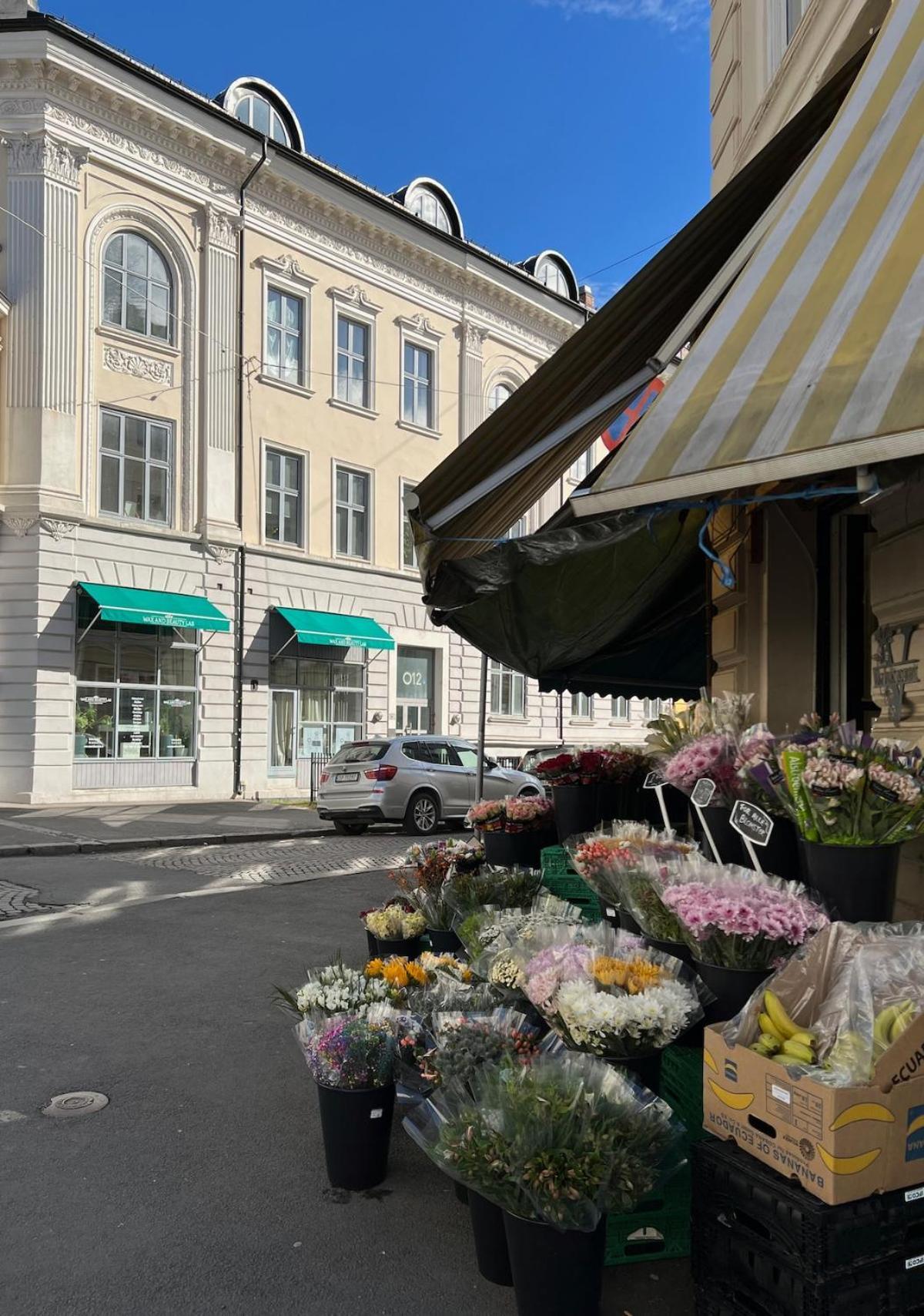 Frogner - - Mai -juni Apartamento